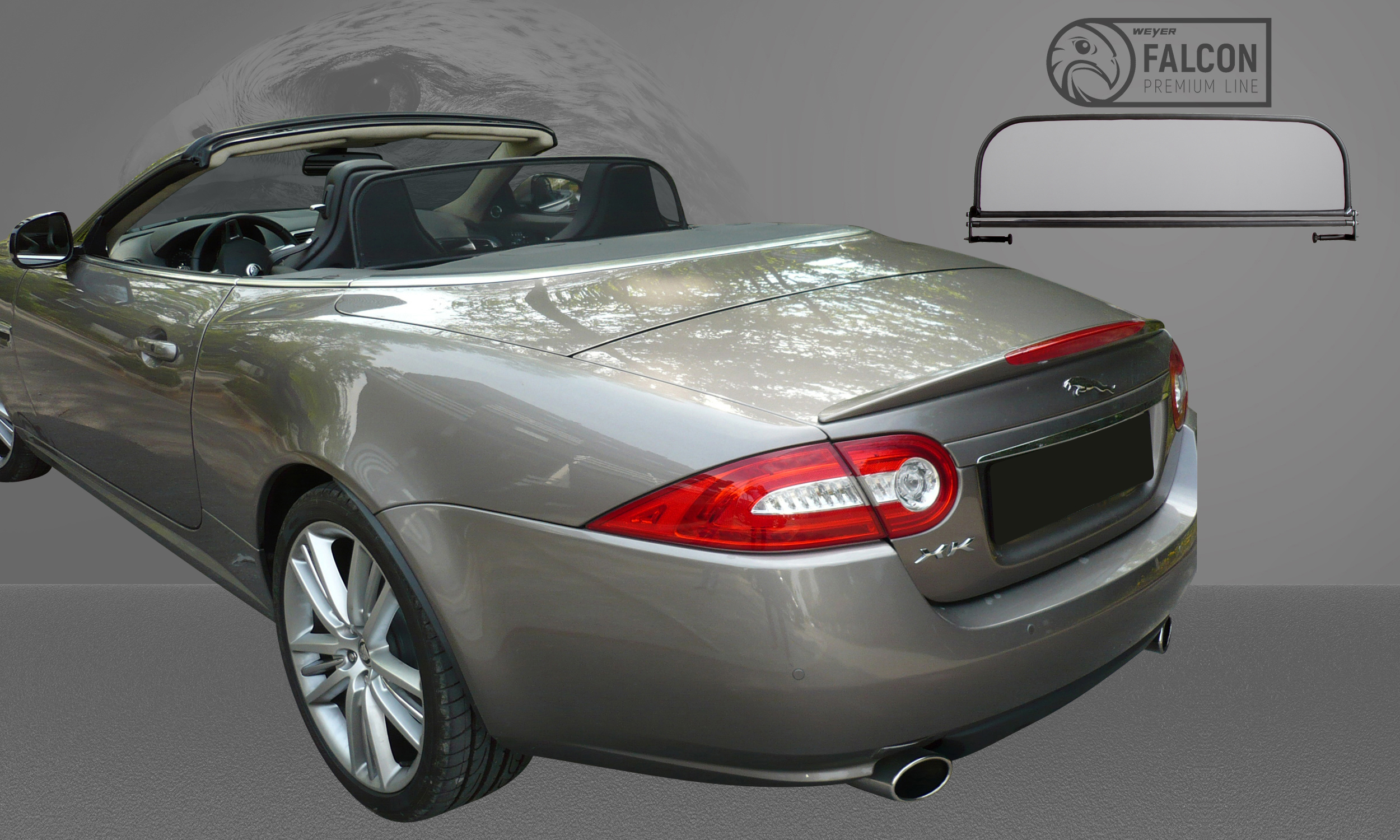 WI8111_Jaguar-XK-8-Modell_V2