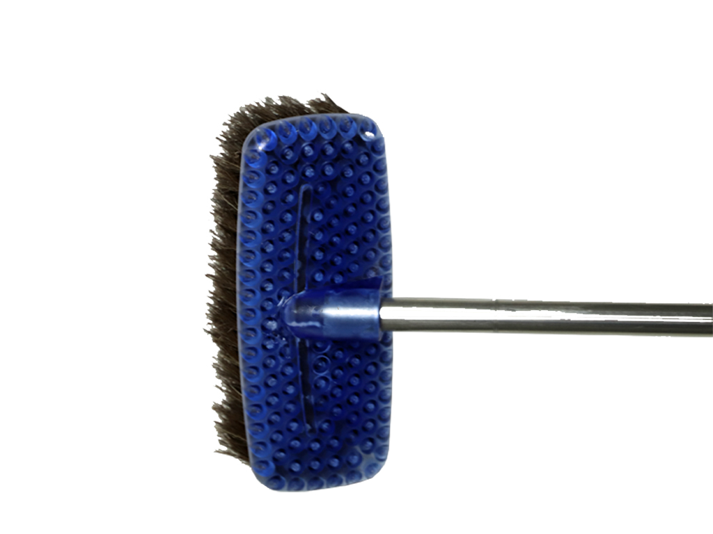 wy-706032-Buerstenkopf-1