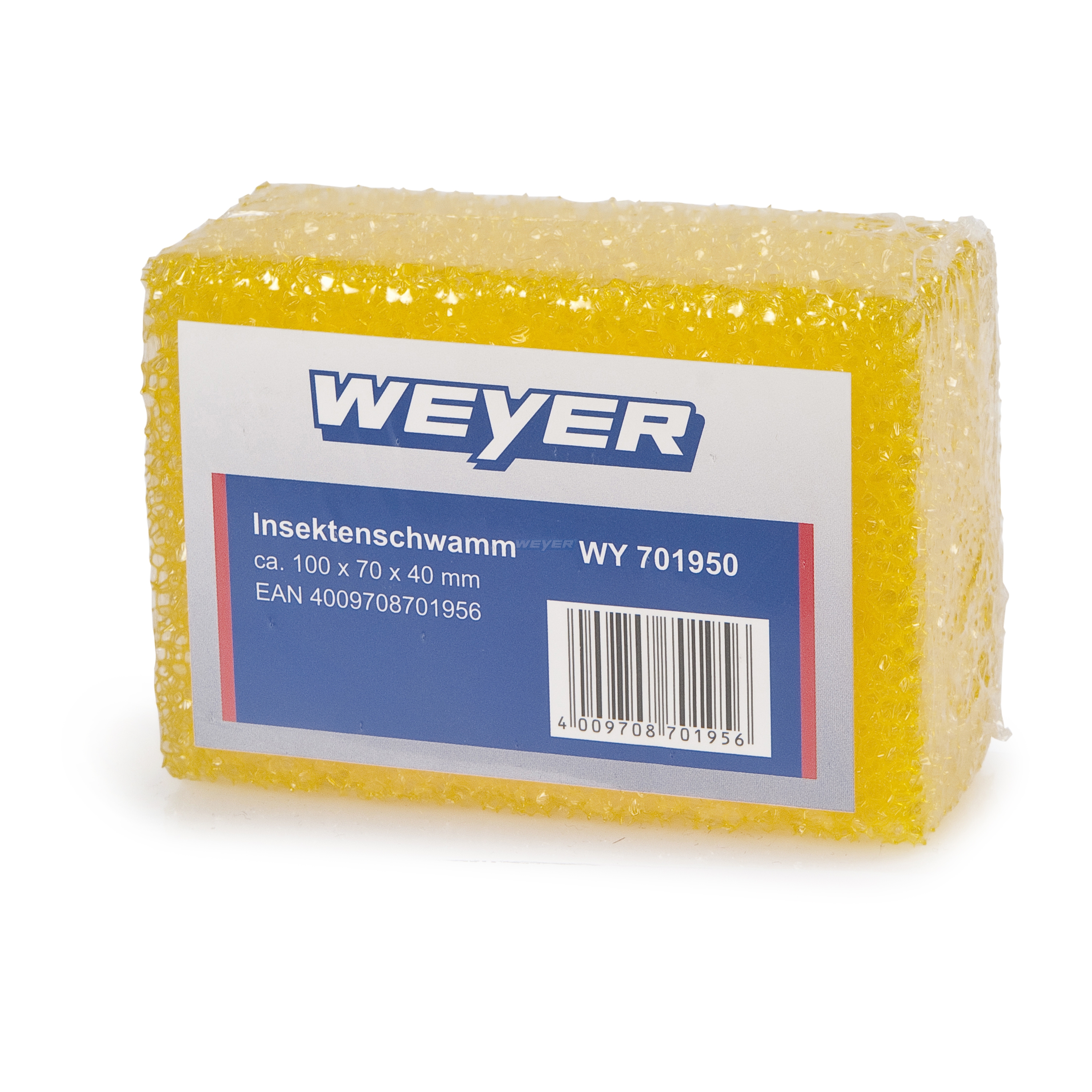 4009708701956_Insektenschwamm Innovative washing brush WEYER BRUSH with short hard bristles
