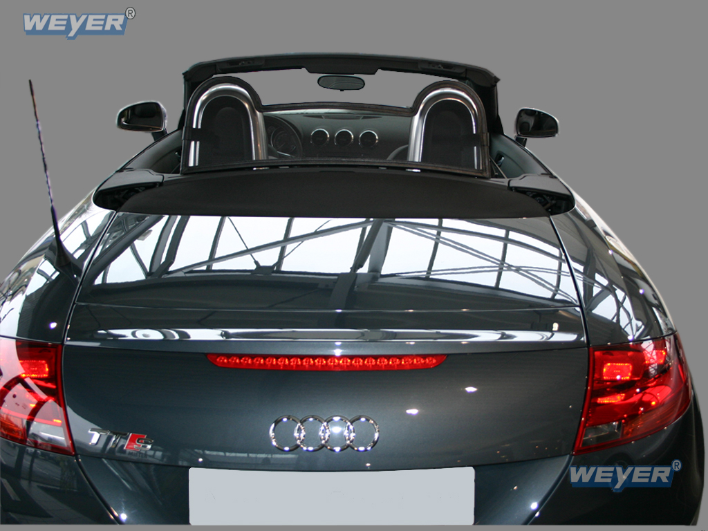 1118-Weyer-Windschott-Audi-TT-4
