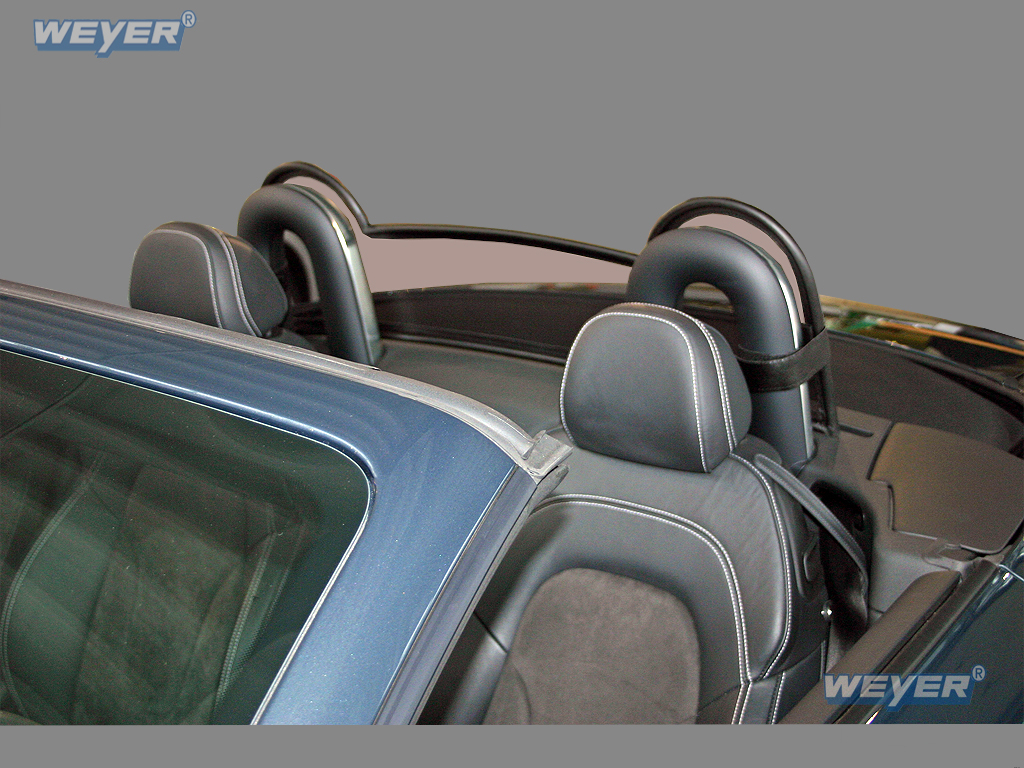 1118-Weyer-Windschott-Audi-TT-1