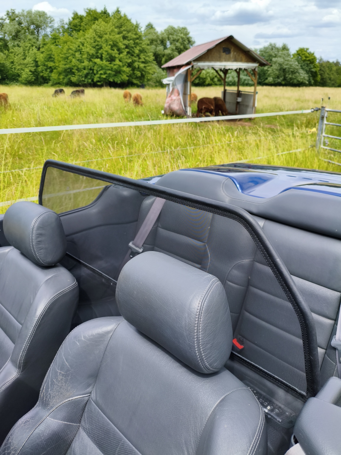 Weyer wind deflector for convertibles Renault R 19
