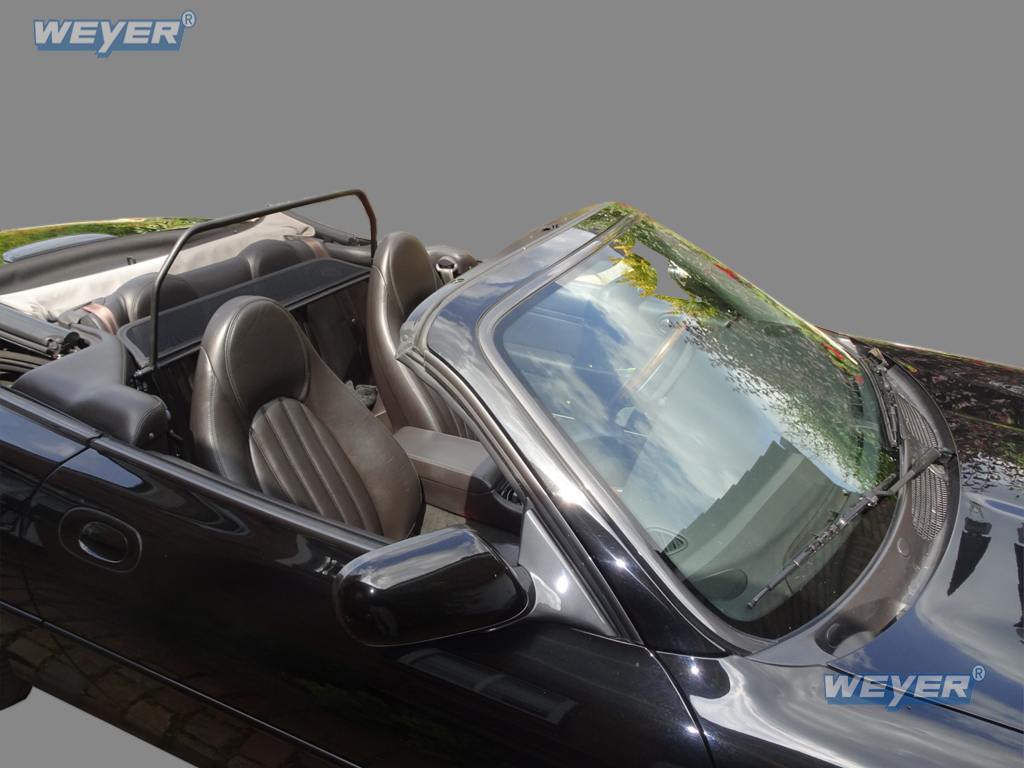 1019-Weyer-Windschott-Jaguar-XK8-Typ-100-2