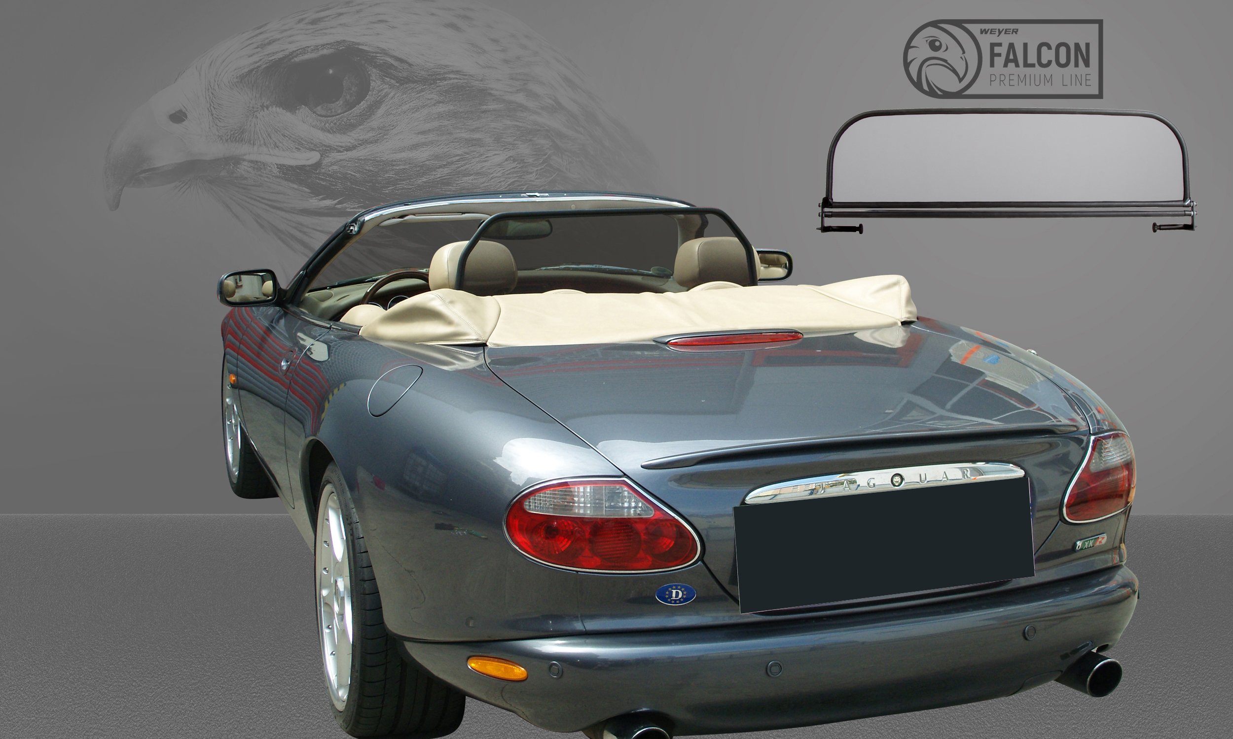 WI8019_Jaguar-XK8_2_V2