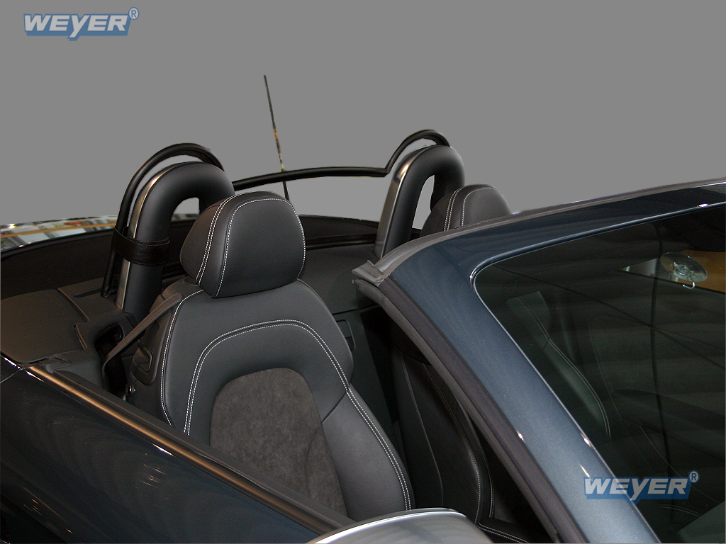 1118-Weyer-Windschott-Audi-TT-2