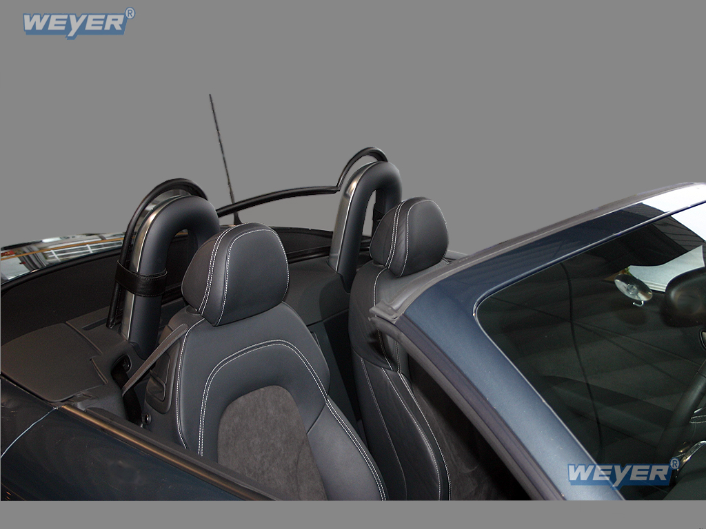 1118-Weyer-Windschott-Audi-TT-6