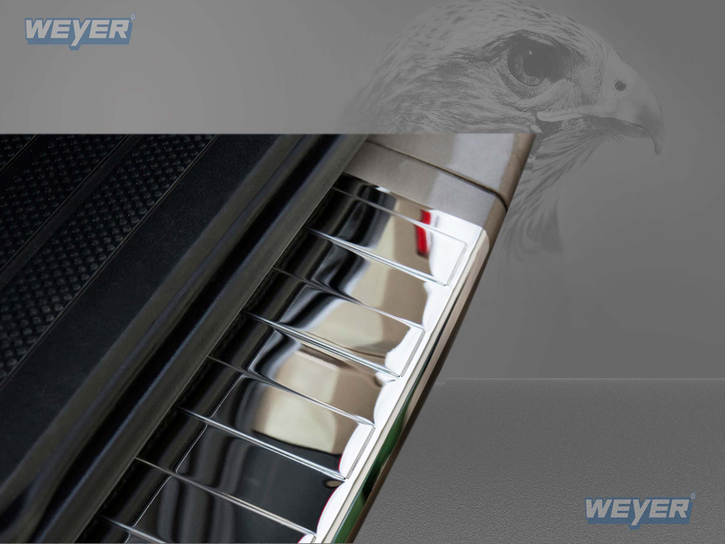 42006-Weyer-Edelstahl-Ladeknatenschutz-Hochglanz-Mercedes-Vito-Viano-W639
