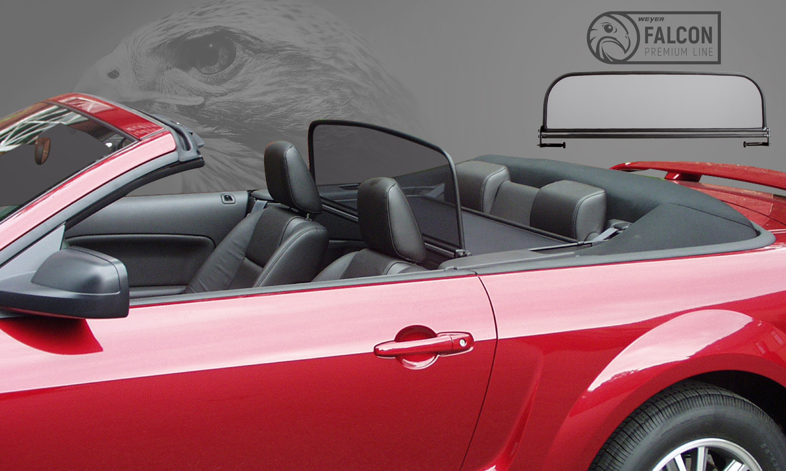 WI8093_Ford_Mustang_ab_05_V2