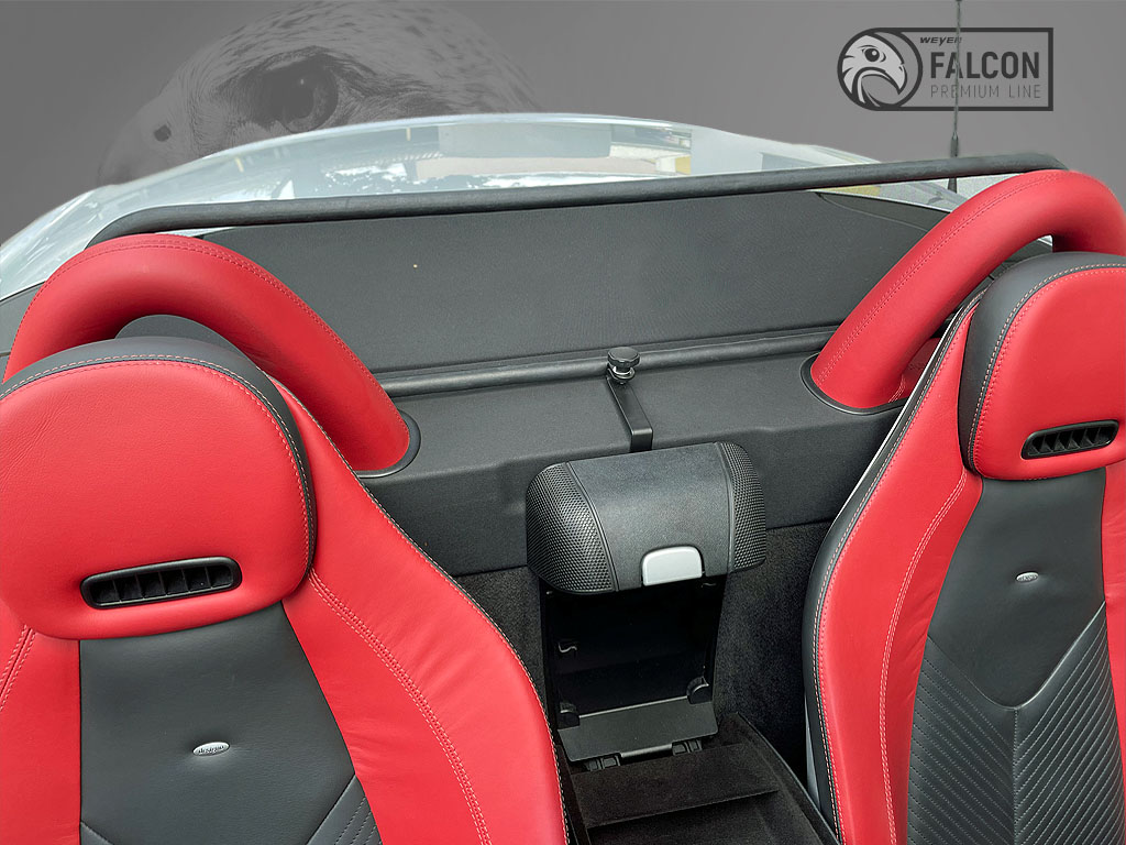 8091-Weyer-Falcon-Mercedes-SLK-R171-2