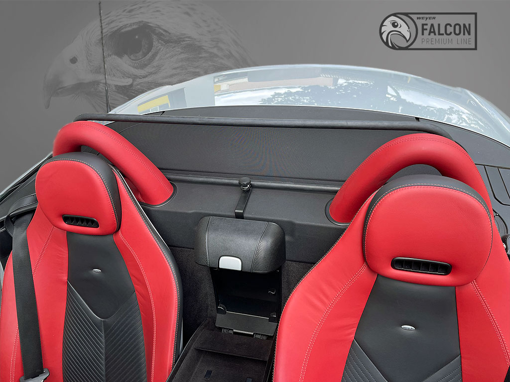 8091-Weyer-Falcon-Mercedes-SLK-R171-1